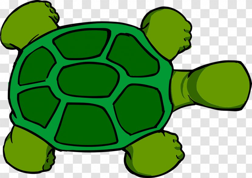 Sea Turtle Reptile Clip Art - Animal Transparent PNG