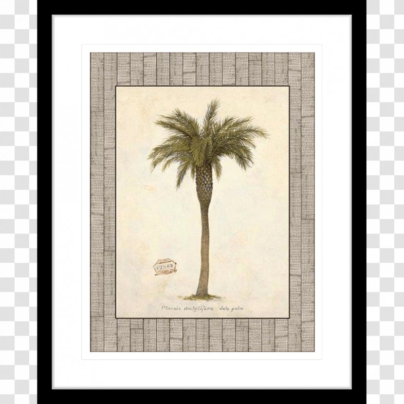 Picture Frames Rococo Tree Work Of Art Deco - Painting - Cat Palm Transparent PNG
