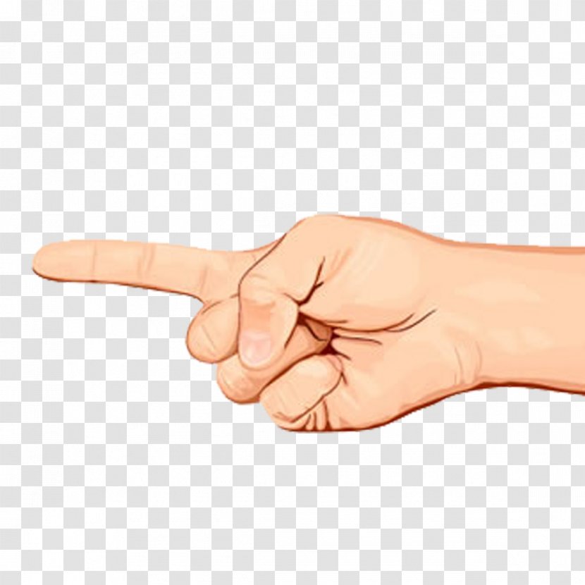 Thumb Finger - Arm - Man's Transparent PNG