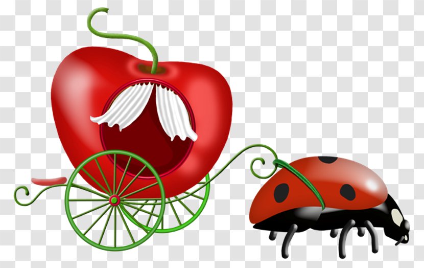 Clip Art - Love - Ladybug Transparent PNG