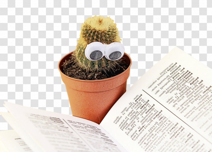 Books Cartoon - Houseplant - Succulent Plant Caryophyllales Transparent PNG