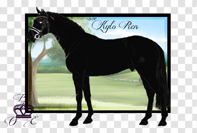 Stallion Mustang Mare Foal Colt - Rein Transparent PNG