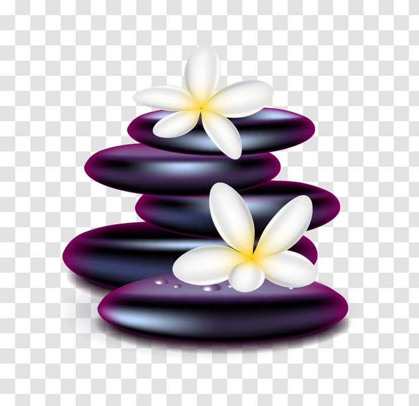 Vector Graphics Clip Art Illustration Royalty-free - Flower - Piedras De Colores Transparent PNG