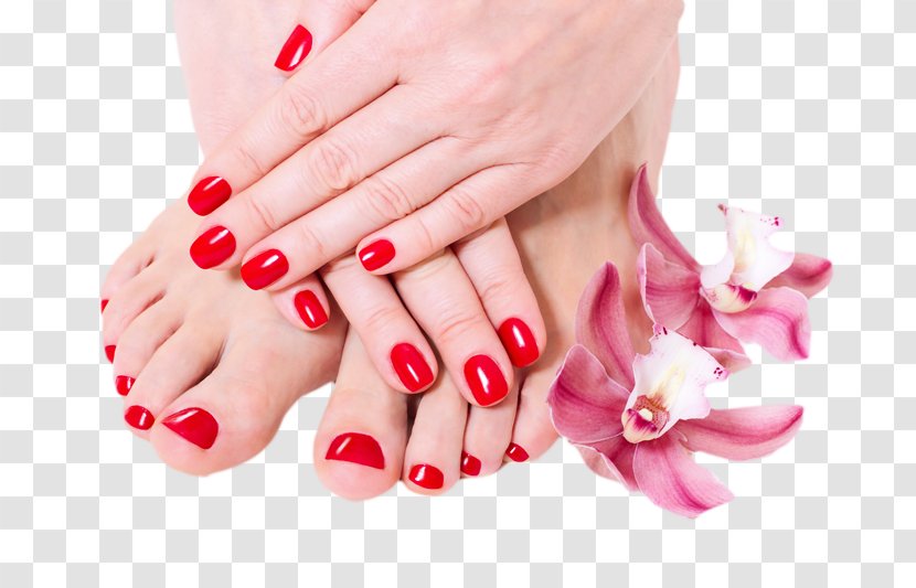 Manicure Pedicure Spa Massage Cosmetologist - Manicurist - Nails Transparent PNG