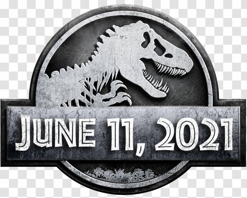 Universal Pictures Jurassic Park Film Director Amblin Entertainment - 3 Transparent PNG