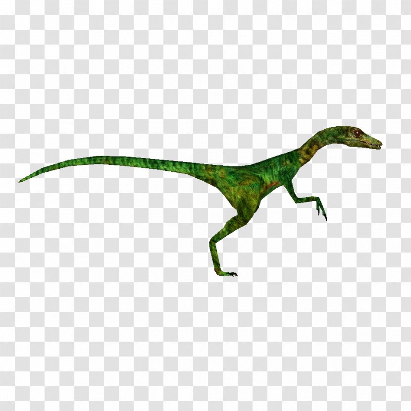 Procompsognathus The Lost World Velociraptor Dinosaur - Compsognathus - Jurassic Park Transparent PNG