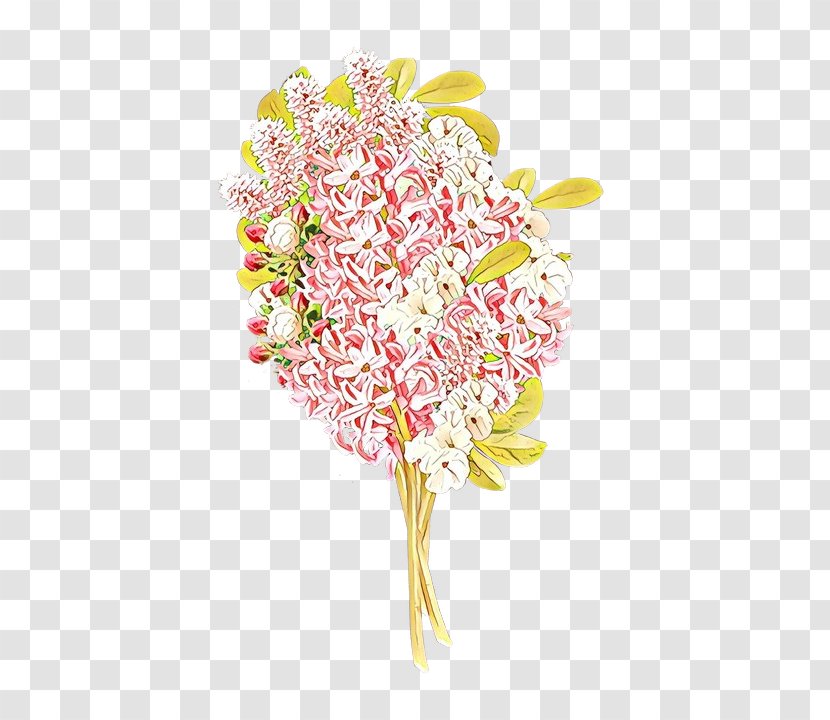 Floral Flower Background - Plant - Anthurium Bouquet Transparent PNG