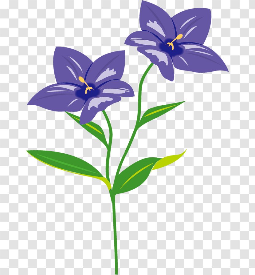 Plant Stem Herbaceous Clip Art - Iris - Kikyo Transparent PNG