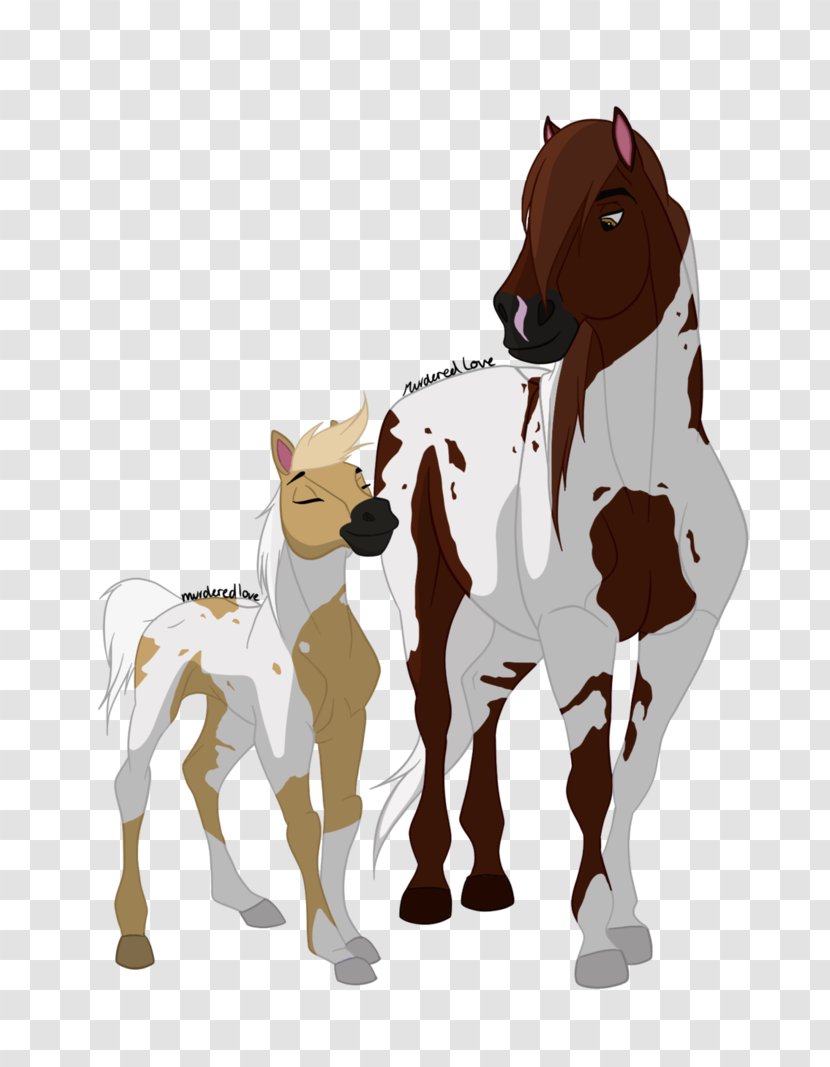 Appaloosa Mustang Foal Stallion Wild Horse - Colt Transparent PNG
