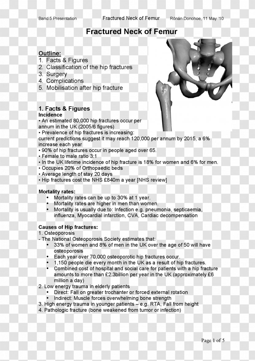 Document Femoral Neck Joint - Monochrome - Design Transparent PNG