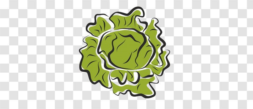 Vegetable Salad Drawing Clip Art - Iceberg Lettuce Transparent PNG
