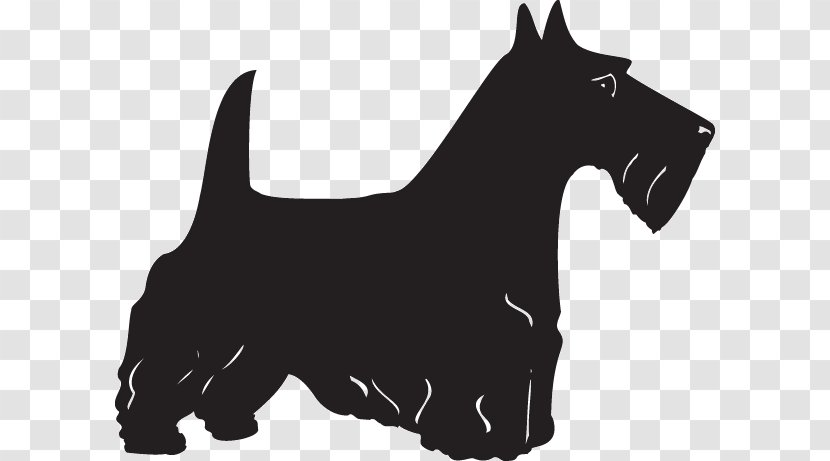 Scottish Terrier Yorkshire Scotland West Highland White - Monochrome Photography - Silhouette Transparent PNG