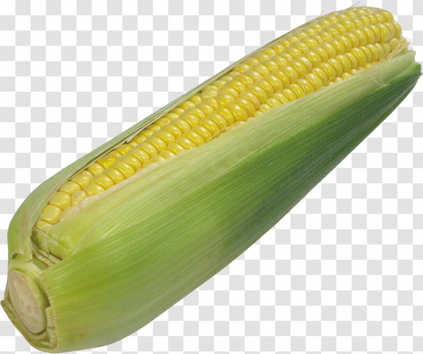 Maize Clip Art - Flint Corn - Image Transparent PNG