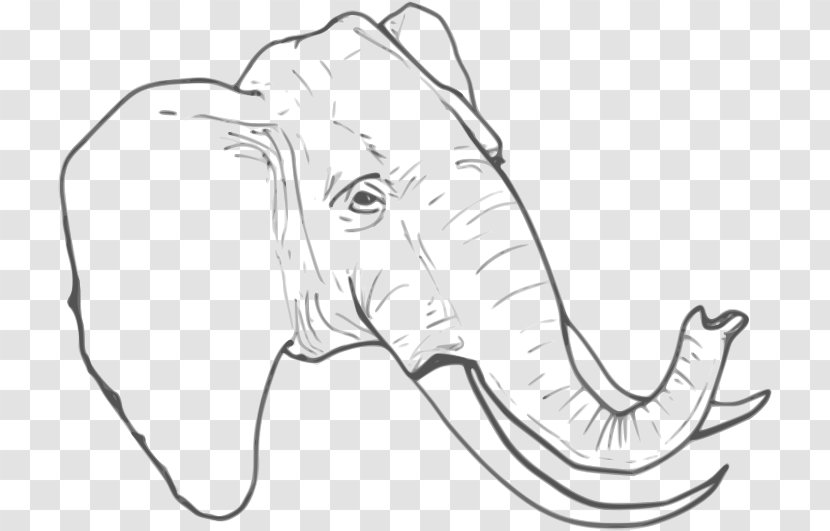 Elephant Drawing Clip Art - Monochrome - Line Transparent PNG