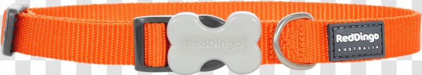 Dog Dingo Cat Collar Leash - Personal Protective Equipment - Red Transparent PNG