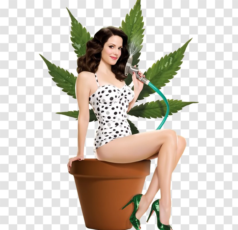 Mary-Louise Parker Weeds Amy Gardner Nancy Botwin Television - Silhouette - Mujeres Transparent PNG
