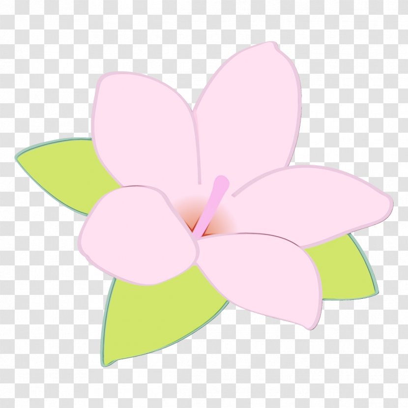 Petal Pink Flower Clip Art Plant - Paint - Moth Orchid Flowering Transparent PNG