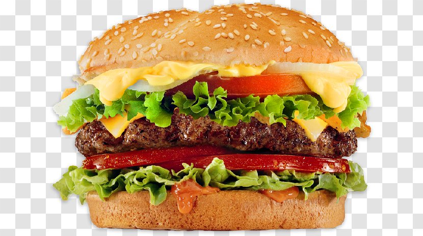 Junk Food Fast Hamburger French Fries Pizza - Veggie Burger - Transparent Images Transparent PNG