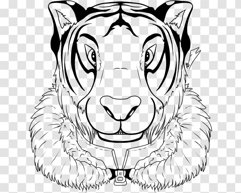 Whiskers Tiger Lion Drawing Clip Art - Cat Transparent PNG