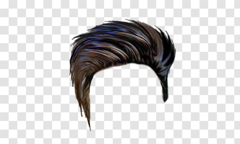 Hairstyle Picsart - Man - Lace Wig Black Hair Transparent PNG