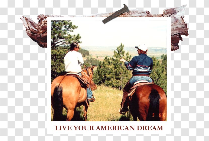 White River Ranch Themar Cowboy Western Riding Equestrian - Mare - American Dream Transparent PNG