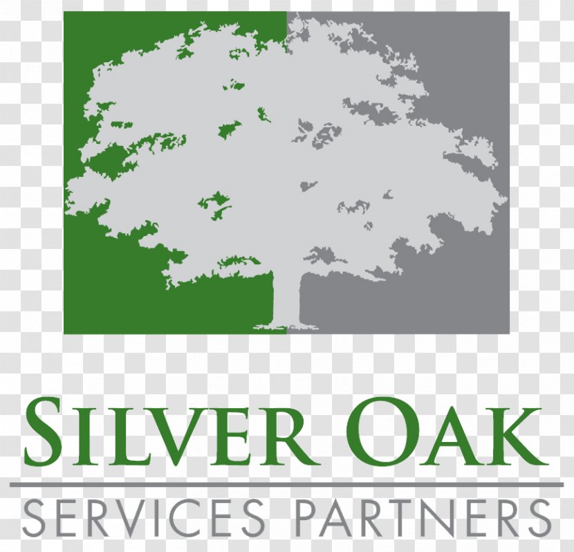 Silver Oak Services Partners LLC Forum Capital Partnership Private Equity Firm - Investment - Business Transparent PNG