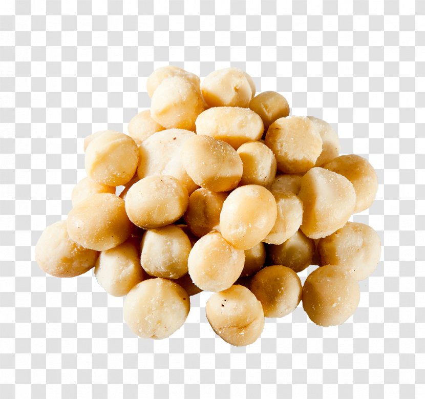 Macadamia Nut - Natural 100 Transparent PNG