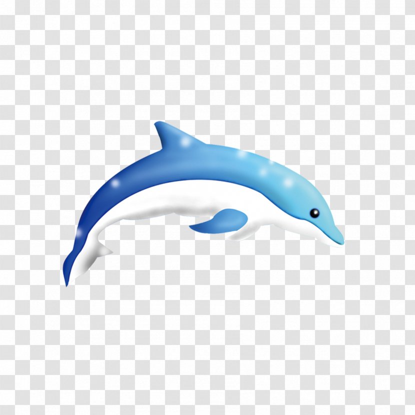 Common Bottlenose Dolphin Tucuxi Short-beaked Porpoise Transparent PNG