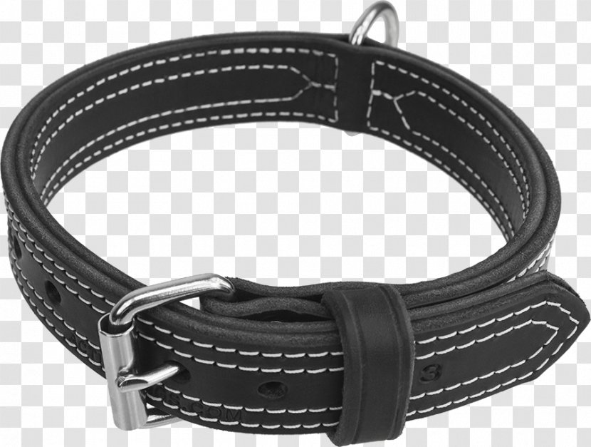 Dog Collar Belt D-ring Transparent PNG