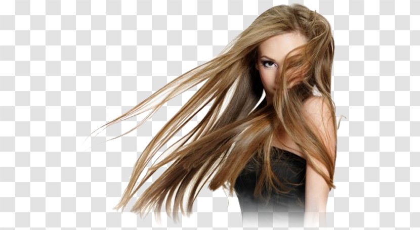 Artificial Hair Integrations Stock Photography Brown Nail Transparent PNG