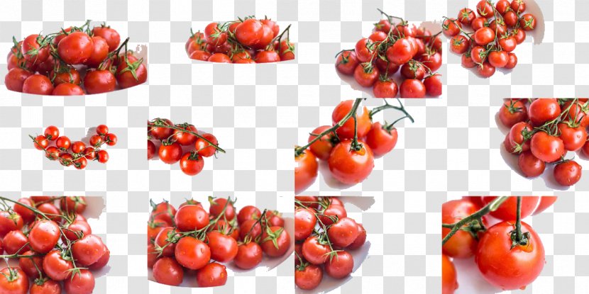 Plum Tomato Cherry Bush - Mouth-watering Tomatoes Transparent PNG