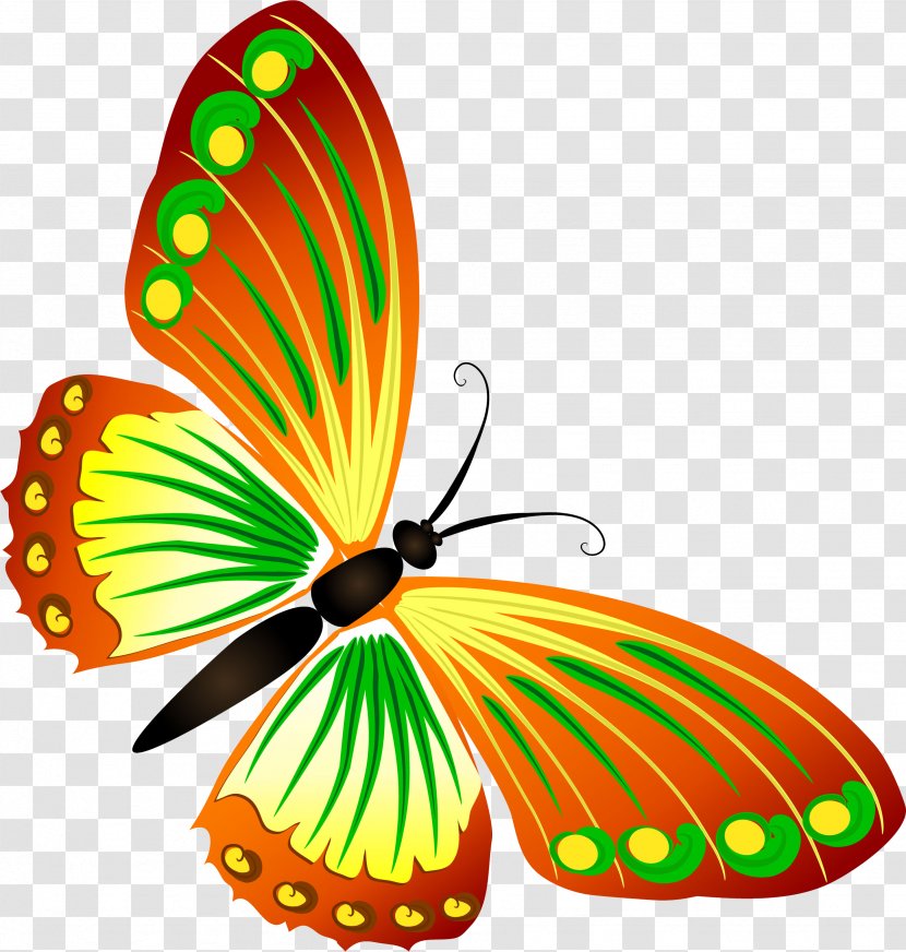 Butterfly Clip Art - Pieridae Transparent PNG