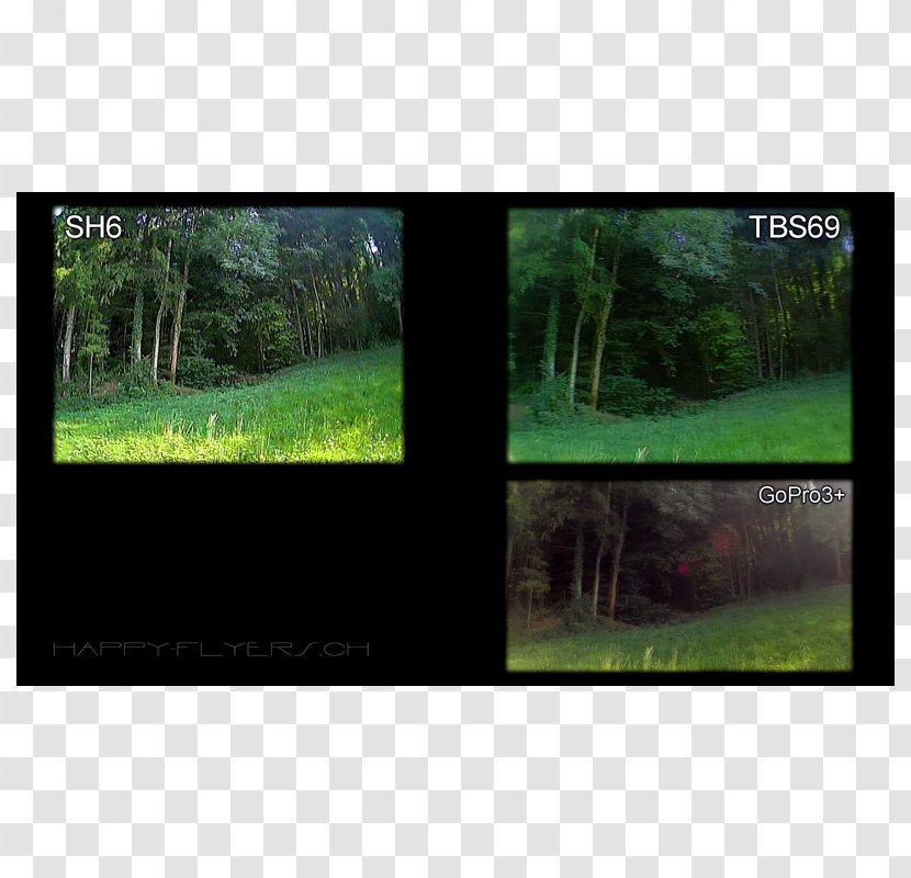 First-person View Camera Photography Video - Tree Transparent PNG