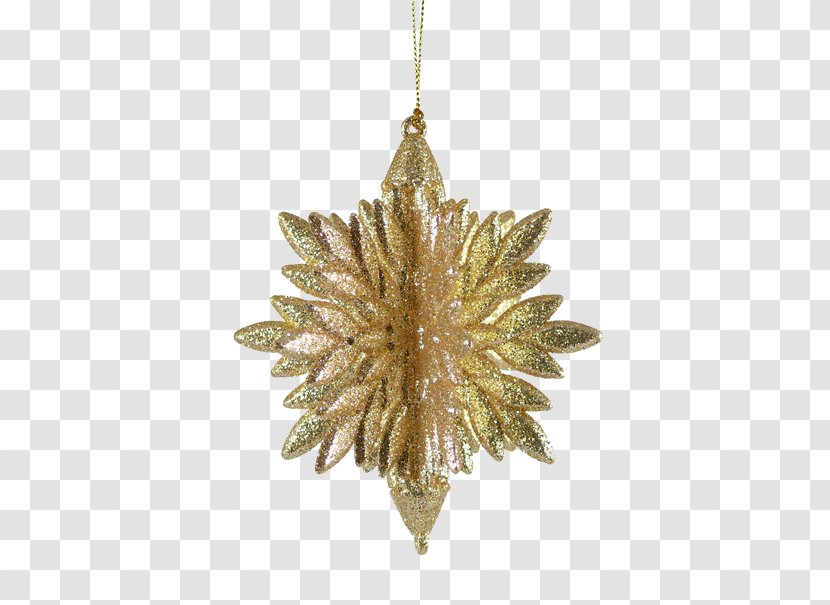 Christmas Ornament Jewellery Pine Transparent PNG
