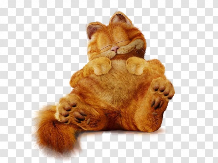 Garfield Wallpaper - Fur - Cute Little Tiger Transparent PNG