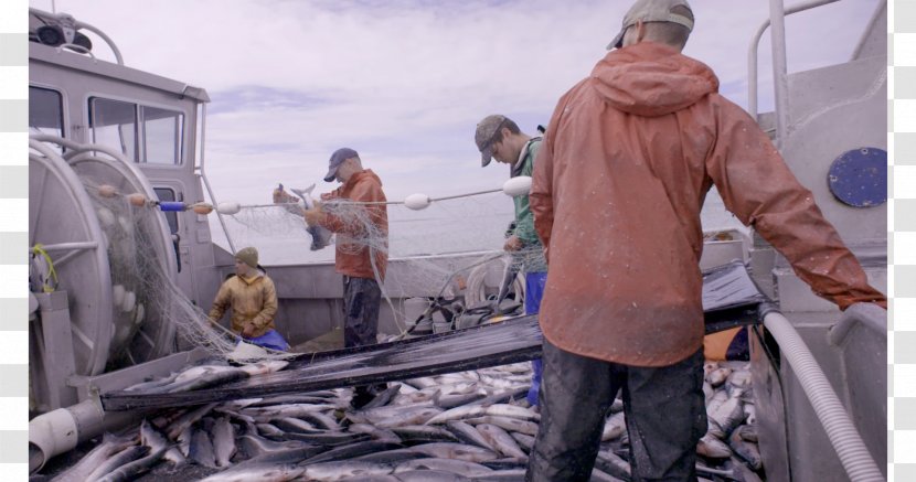 Alaska Salmon Fishery Idea Marketing Project - New Border Crossing Rules Transparent PNG