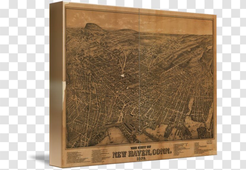 New Haven Wood Gallery Wrap Map Printing - Robert Rooke Transparent PNG