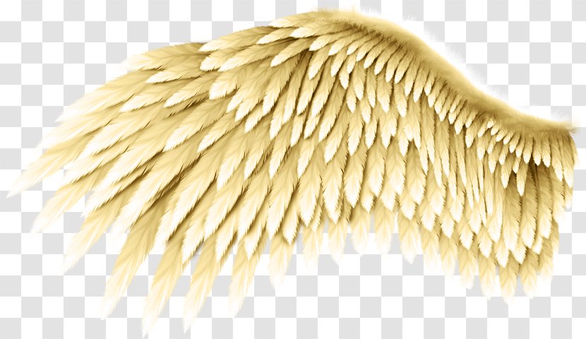 Wing DeviantArt Feather Transparent PNG