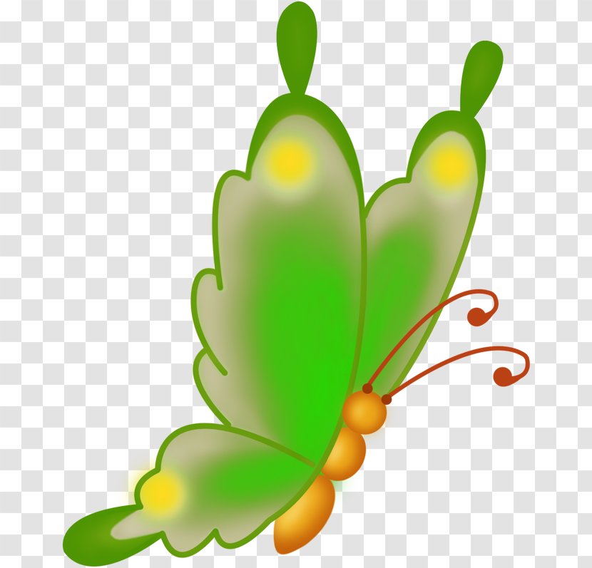 Insect Butterflies And Moths Plant Stem Clip Art Transparent PNG