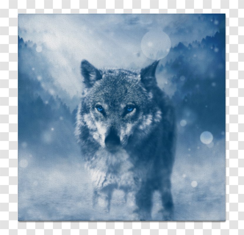 Desktop Wallpaper Wolf Wallpapers High-definition Television 4K Resolution Winter - 4k Transparent PNG