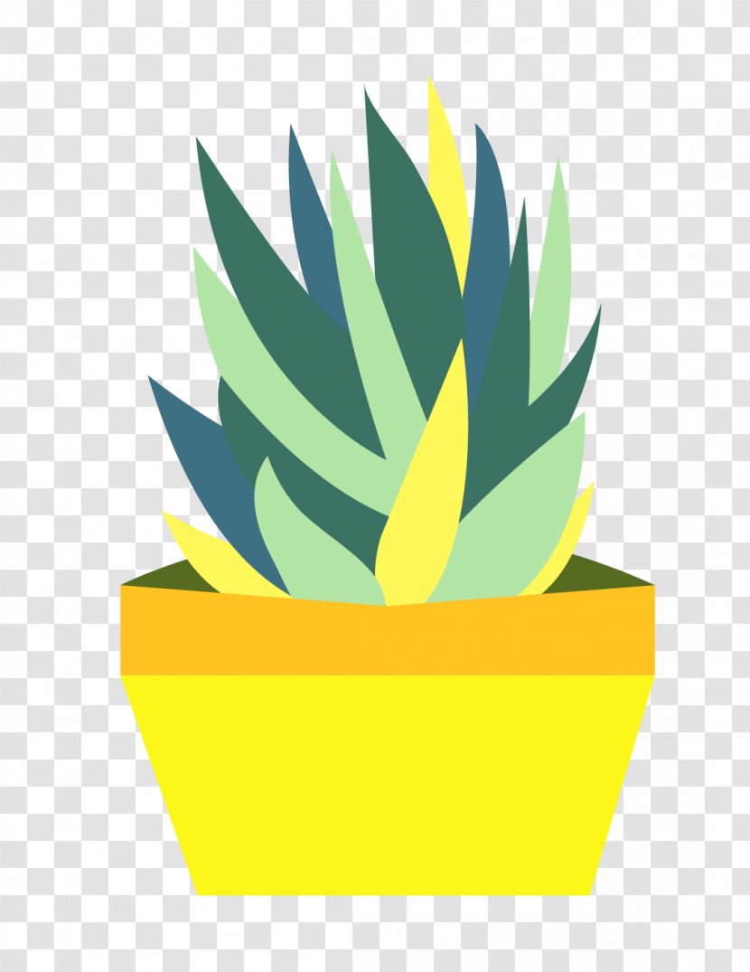 Cactus Image Succulent Plant Plants Transparent PNG
