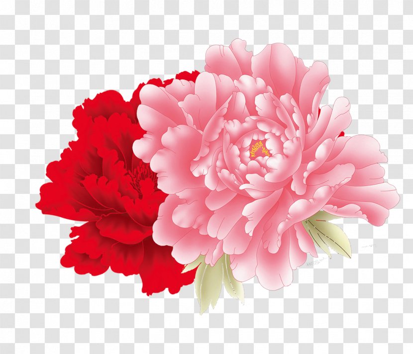 Moutan Peony Flower Icon Transparent PNG