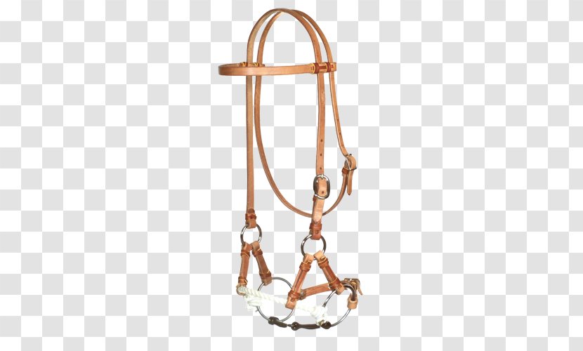 Horse Bit Bridle Equestrian Leather - Saddle Transparent PNG