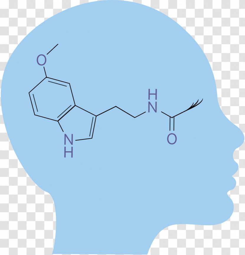 Human Behavior Nose Homo Sapiens - Silhouette - Pineal Gland Transparent PNG