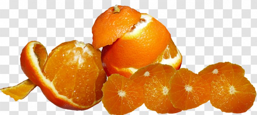 Fruit Cartoon - Tangerine - Seedless Citric Acid Transparent PNG