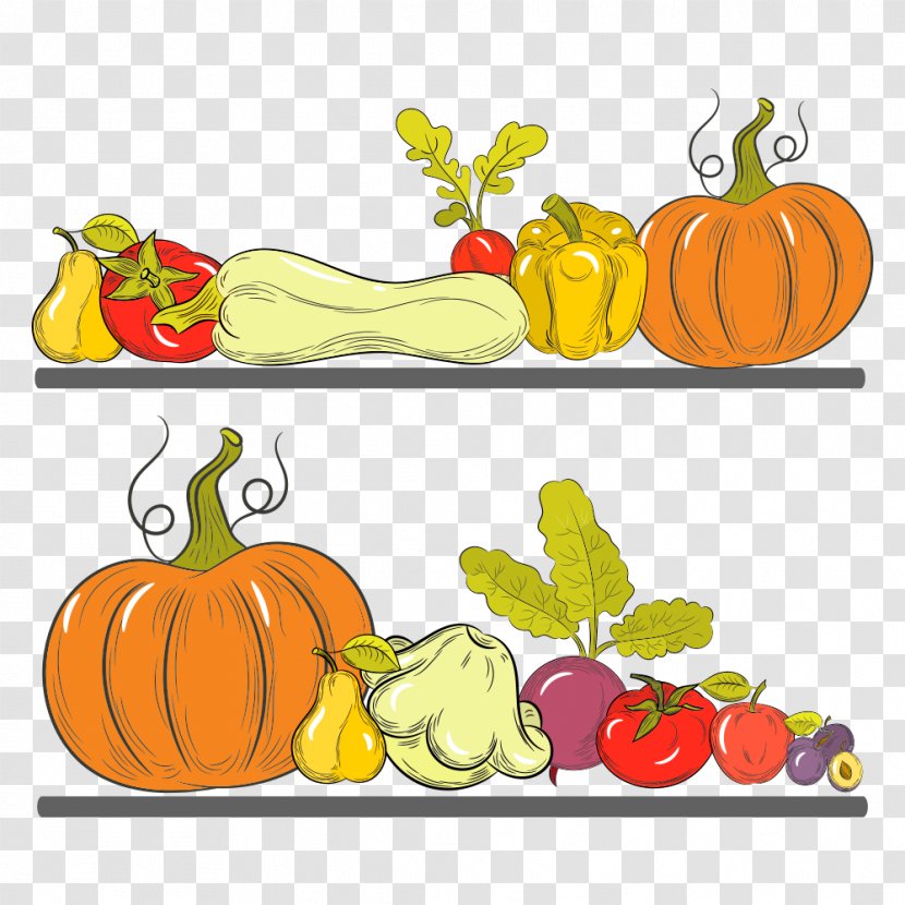 Pumpkin Calabaza Winter Squash Clip Art - Vector Fruits And Vegetables Transparent PNG