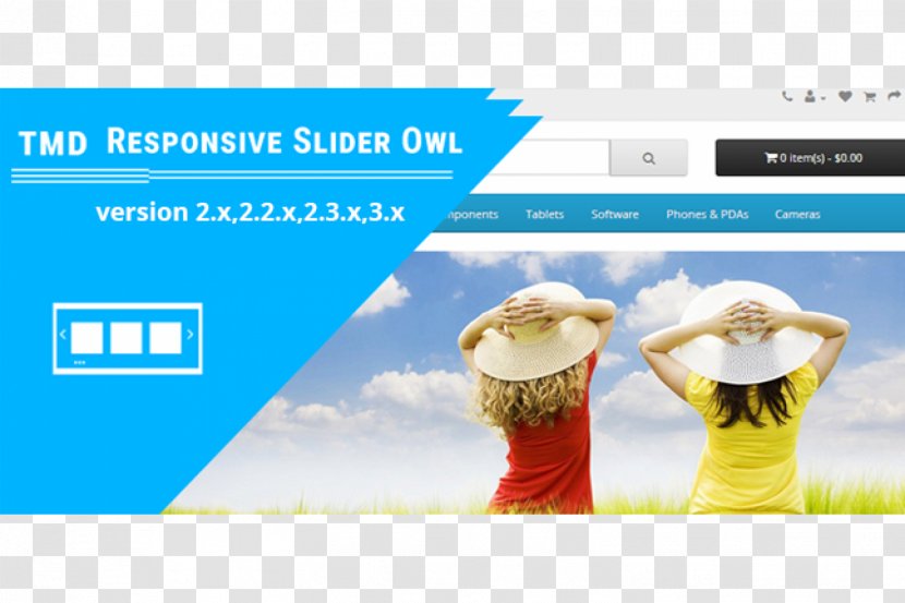 Desktop Wallpaper High-definition Television LCD - Display Resolution - Indian Scops Owl Transparent PNG