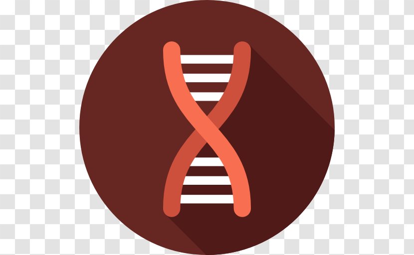 Biology DNA Epigenetics - Bone Fracture Transparent PNG