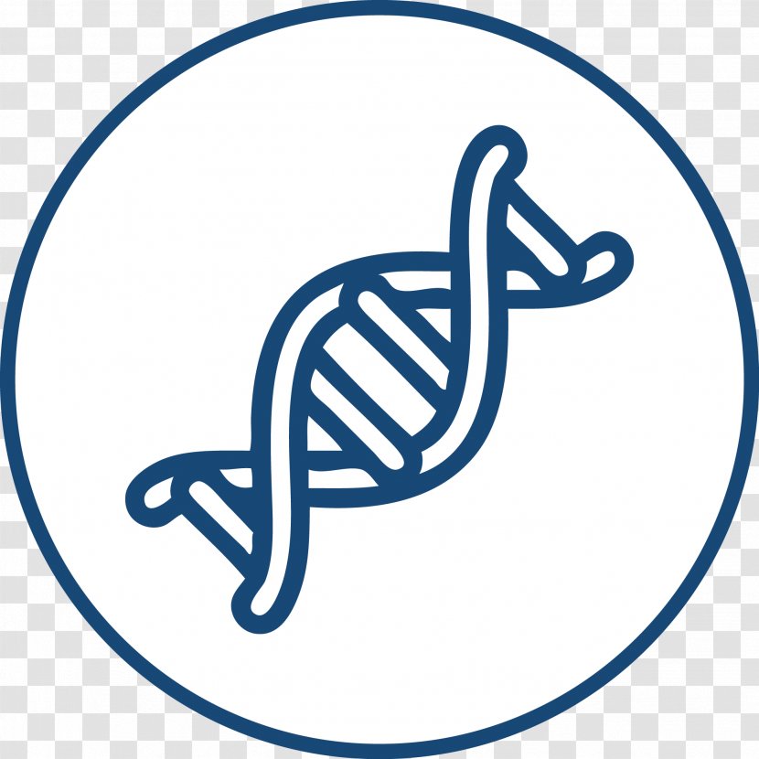 Nucleic Acid Double Helix DNA RNA Genetics - Spiral - Congenial Transparent PNG