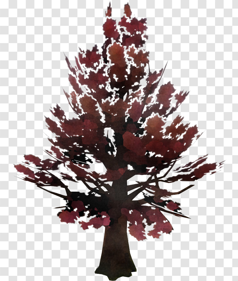 Tree Leaf Red Plant Woody Plant Transparent PNG